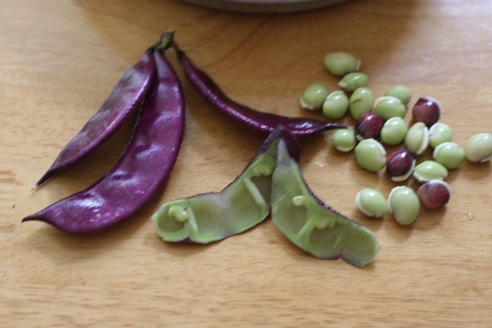 purple-hyacinth-bean-avarakkai-pulav-daily-musings-everyday