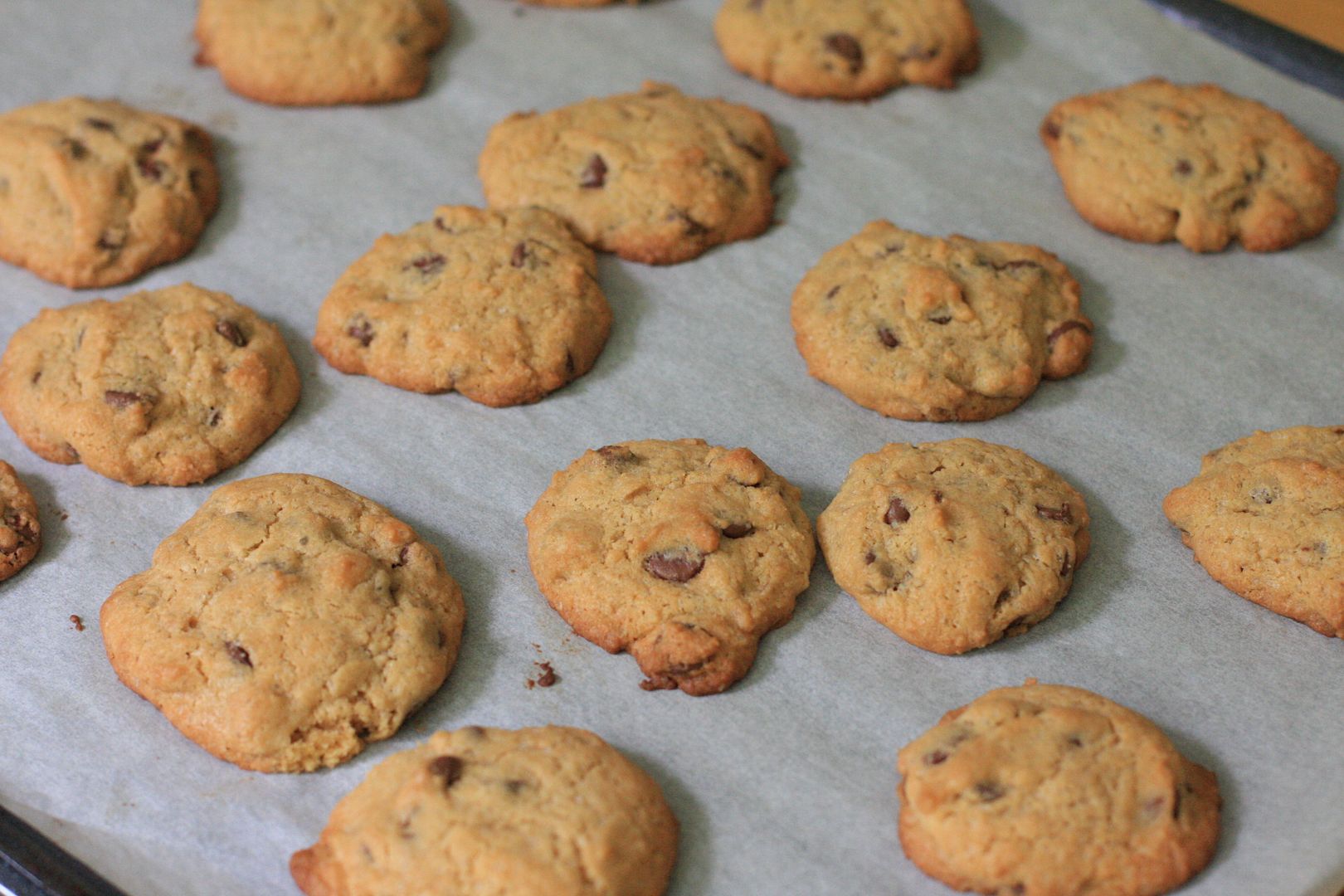 Crispy Chocolate Chip Cookies with Whole Wheat Flour and Raw Sugar