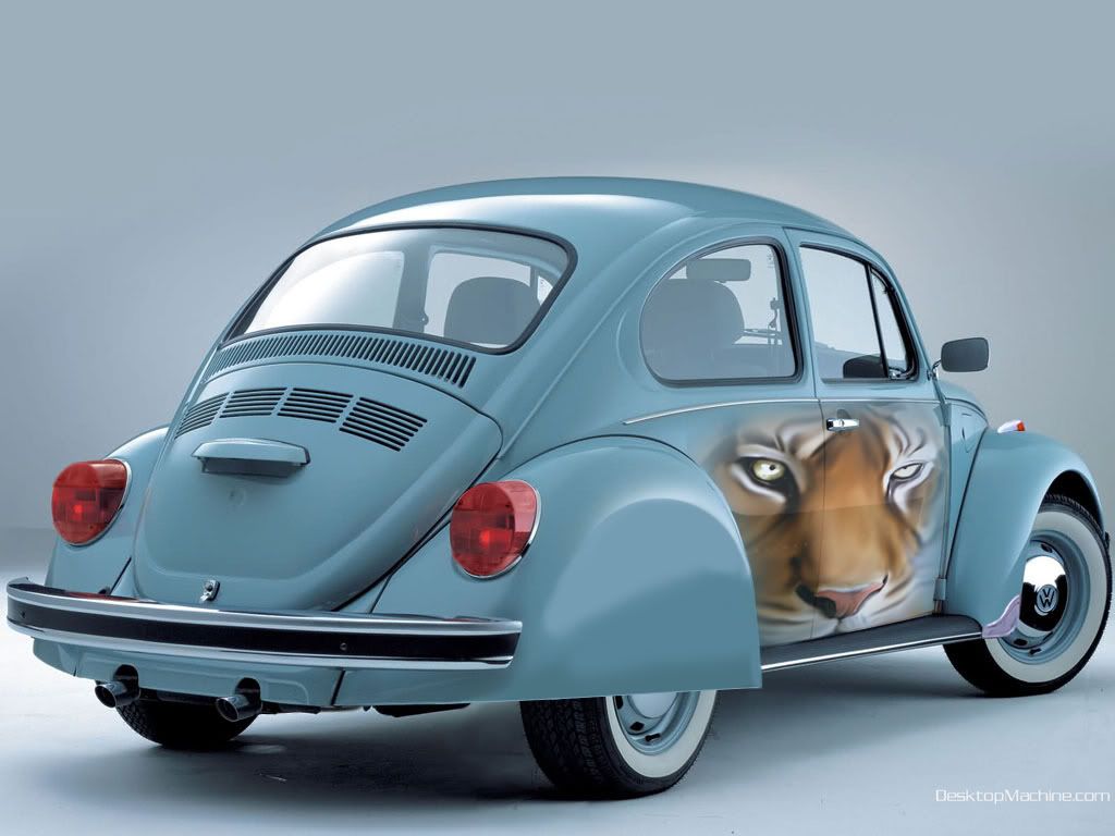 http://i180.photobucket.com/albums/x106/ibiza319/beetle.jpg