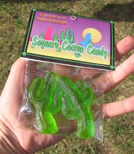 Cactus Candy