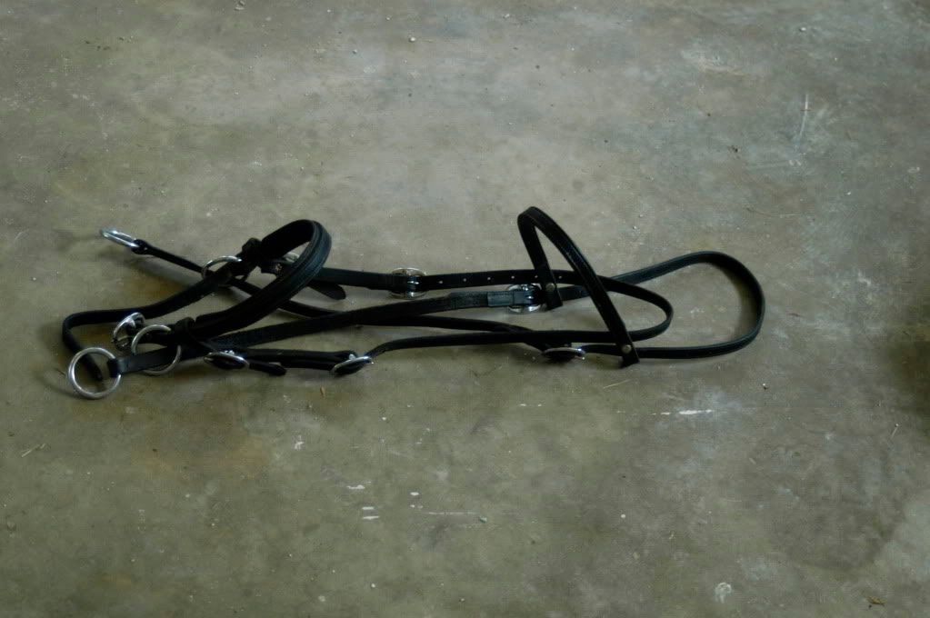 Imus Bits and Bitless Bridle The Horse Forum