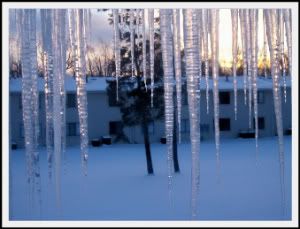 icicles