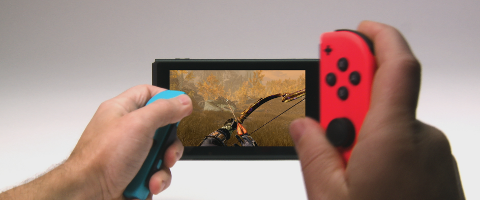 Skyrim Switch Skyrim Switch