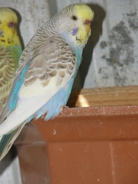 CopyofP1170118.jpg