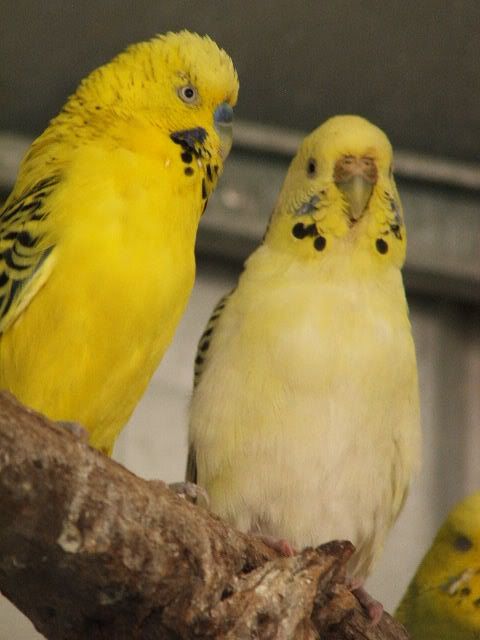 DSCF0277.jpg