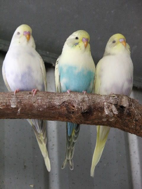 DSCF0291.jpg