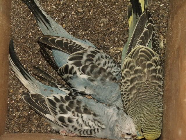 DSCF0304.jpg