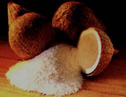 Coconut Pictures, Images and Photos