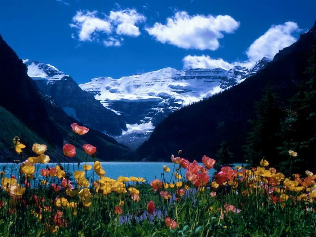 Professional?t1237439367