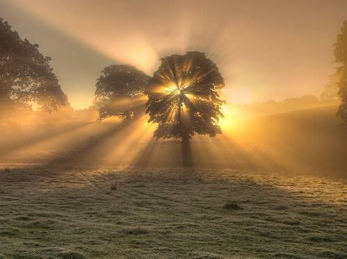 Divine Light Pictures, Images and Photos