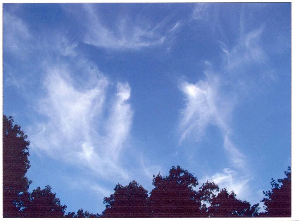 oct232002Valhallaclouds.jpg Angels in the sky image by timoley