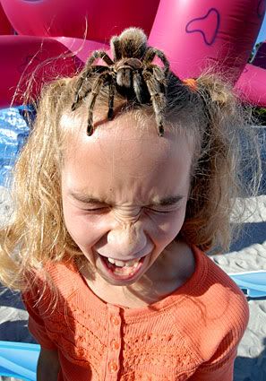 1106spider-on-girls-head.jpg