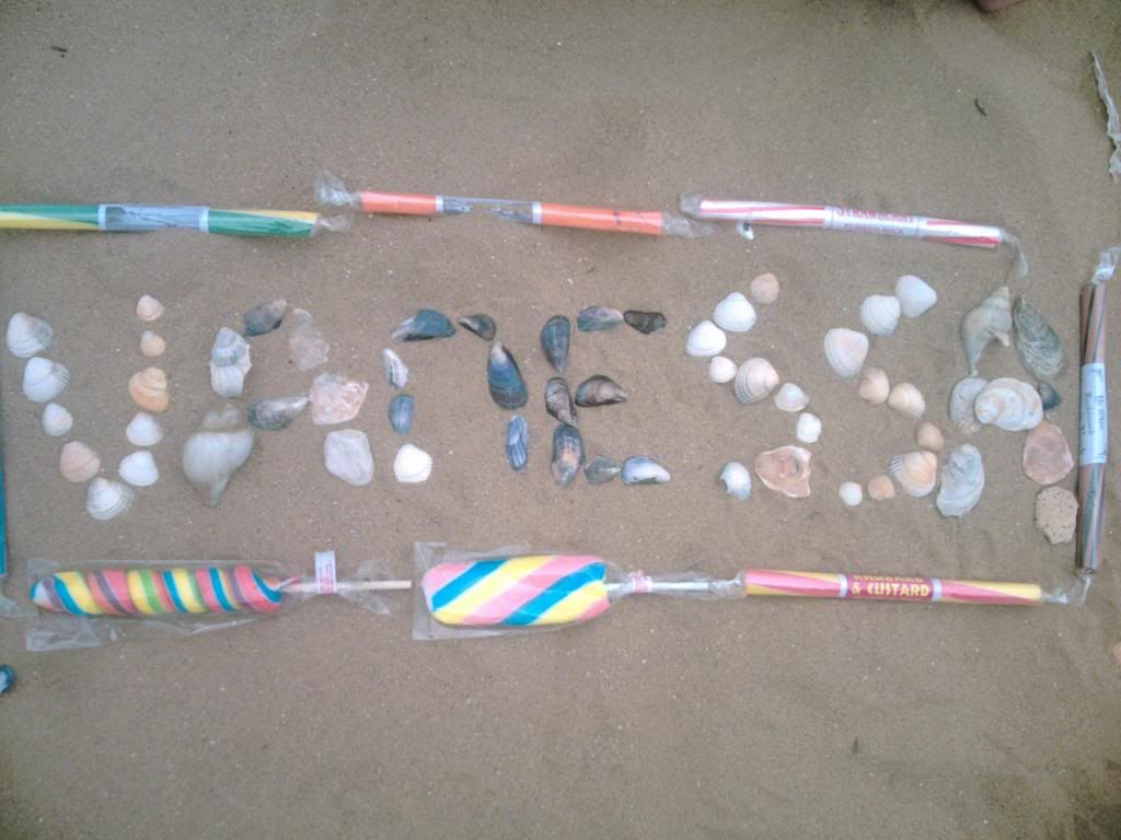 beachshells004.jpg