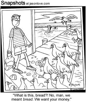 00737-funny-cartoons-seagulls.gif