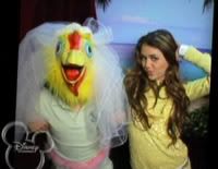 miley-cyrus-disney-new-years-bowl-2.jpg miley nd a chicken bok bok image by miley_miley_101