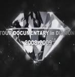 Winter Diamond Party Documentary