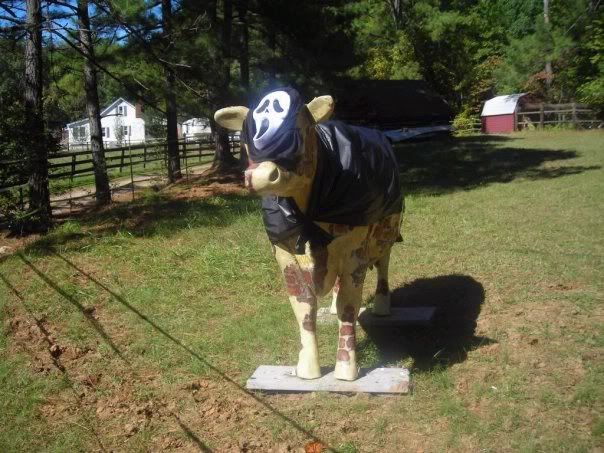 Is There A Story Behind The Cow Statue Safe Donations Raleigh Durham Chapel Hill