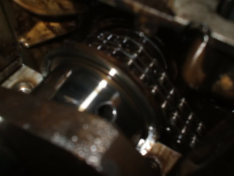 Dscf5732.jpg