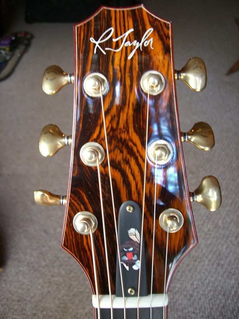 Antique Gold Gotoh 510 Tuners (R. Taylor)? The Acoustic Guitar Forum