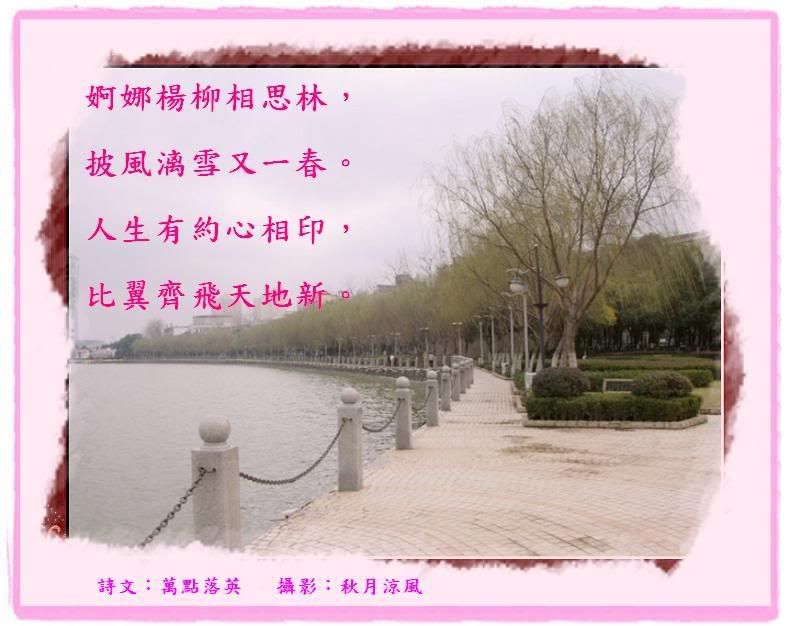 DSCN6559m.jpg picture by stella789_2007