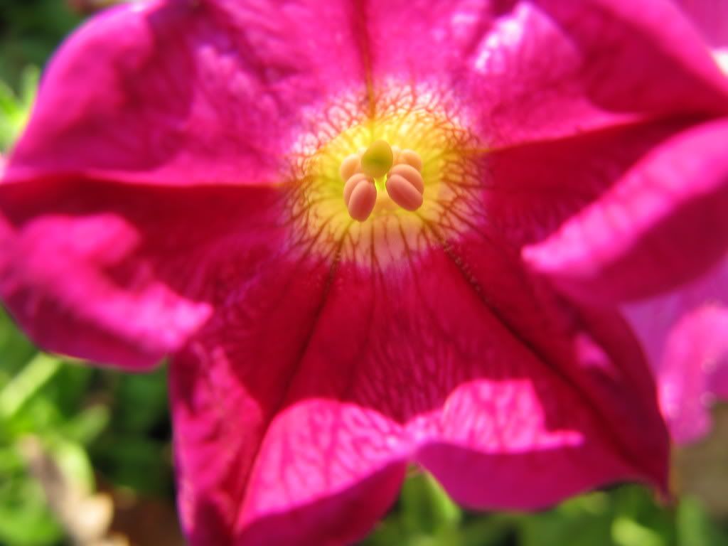 IMAGE: http://i180.photobucket.com/albums/x203/Brooks3204/IMG_9251.jpg