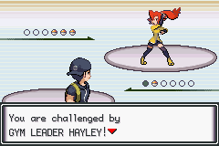 Pokemon-FireRed_19.png