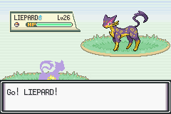 Pokemon-FireRed_04-3.png