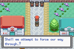 Pokemon-FireRed_04.png