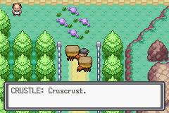 Pokemon-FireRed_09.png