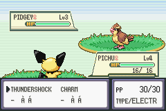 Pokemon-FireRed_11.png