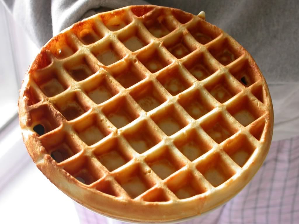 waffle Pictures, Images and Photos