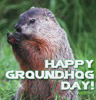 Groundhog Day Pictures, Images and Photos