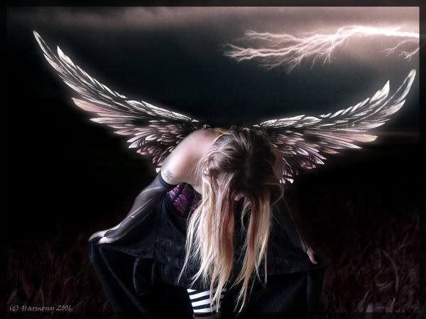 69.jpg picture by gobrda