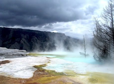 Mammoth Hot Springs