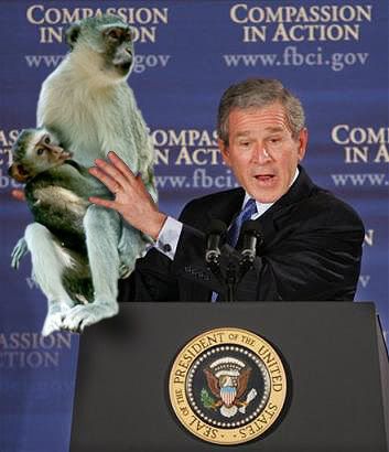 president bush monkey. President Bush, if he started
