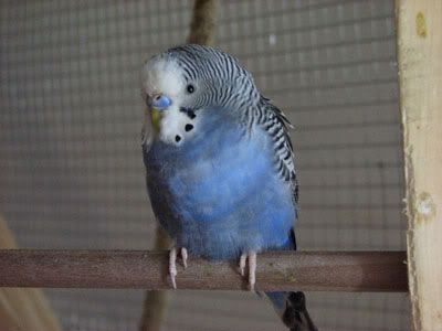 IMG_2414.jpg