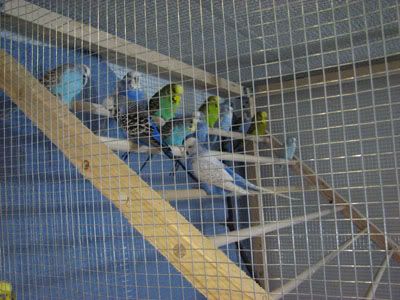 IMG_2437.jpg