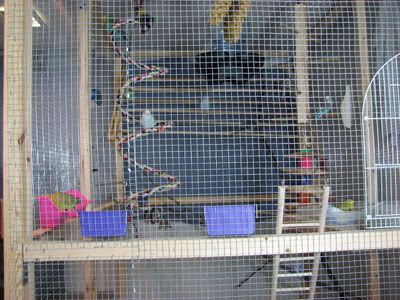 IMG_3391a.jpg