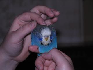 IMG_2978.jpg