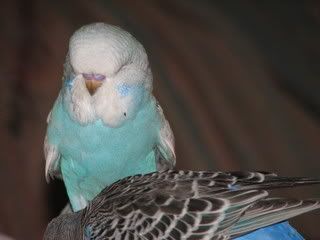 IMG_3137.jpg