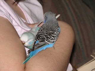 IMG_3138.jpg