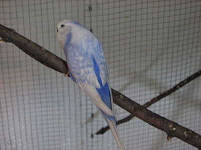 IMG_2415.jpg