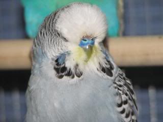 IMG_2701.jpg