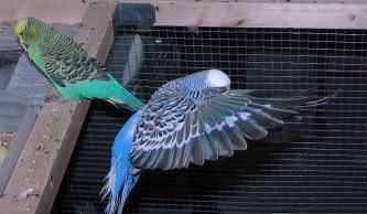 IMG_2898a.jpg