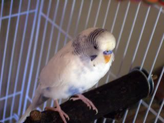 000_2184.jpg