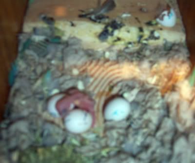 000_2800a.jpg