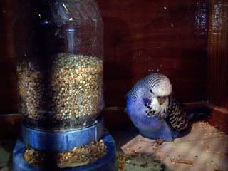 000_2968.jpg