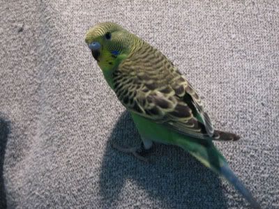 IMG_5093.jpg