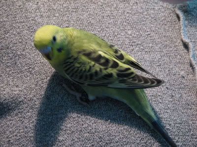 IMG_5113.jpg