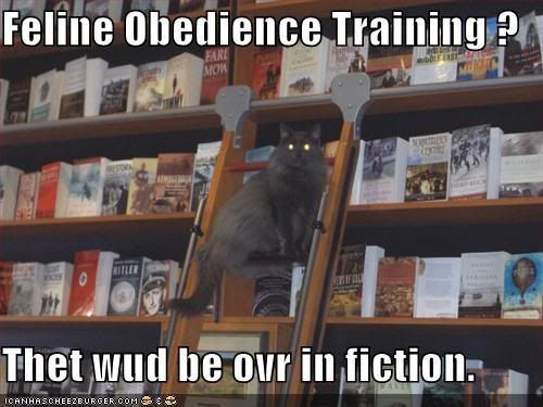 [Image: funny-pictures-librarian-cat-tells-.jpg]